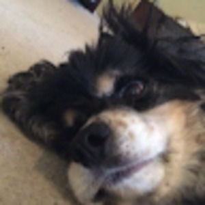 Meet your Posher, Madeleine